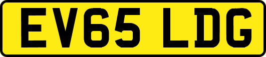 EV65LDG