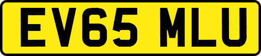 EV65MLU