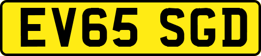 EV65SGD