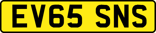 EV65SNS