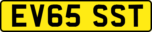 EV65SST
