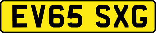 EV65SXG