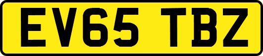 EV65TBZ