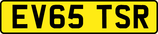 EV65TSR