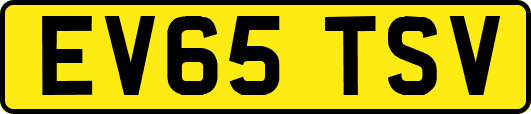 EV65TSV