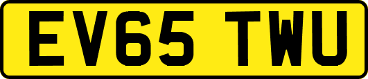 EV65TWU