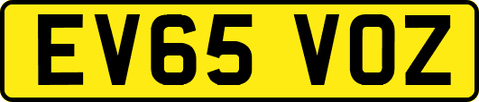 EV65VOZ