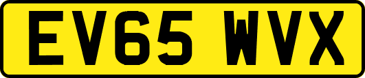 EV65WVX