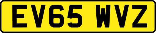 EV65WVZ
