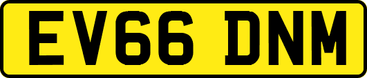 EV66DNM