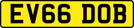EV66DOB