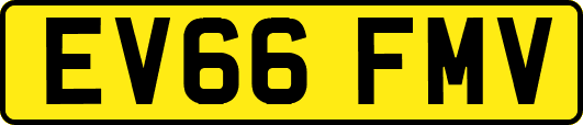 EV66FMV