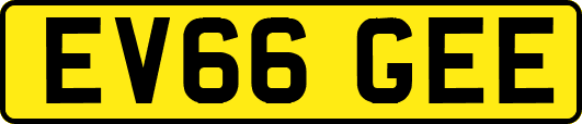EV66GEE