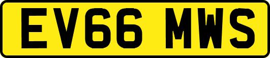EV66MWS