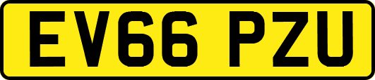 EV66PZU
