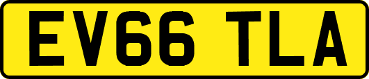 EV66TLA