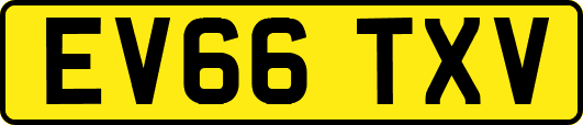 EV66TXV