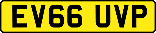 EV66UVP
