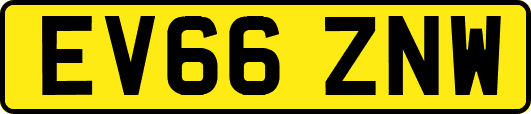 EV66ZNW