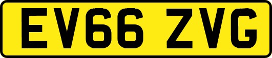 EV66ZVG