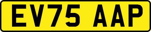 EV75AAP