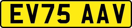 EV75AAV