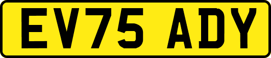 EV75ADY