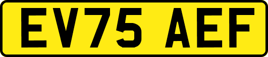 EV75AEF