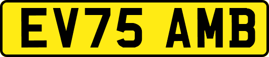 EV75AMB