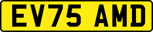 EV75AMD