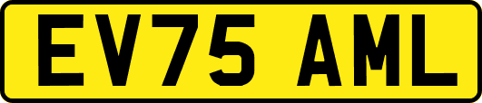 EV75AML
