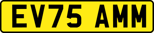 EV75AMM
