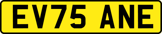 EV75ANE