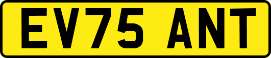 EV75ANT