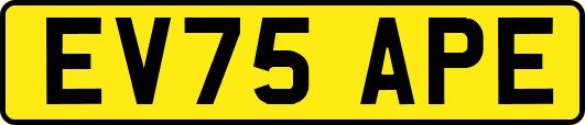 EV75APE