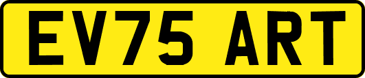 EV75ART