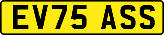 EV75ASS