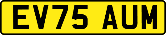 EV75AUM
