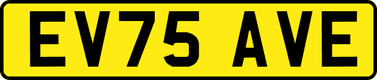 EV75AVE