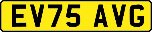 EV75AVG