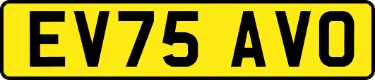 EV75AVO