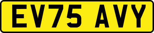 EV75AVY