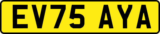 EV75AYA