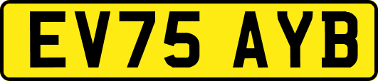 EV75AYB