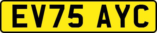 EV75AYC