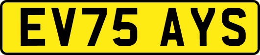 EV75AYS