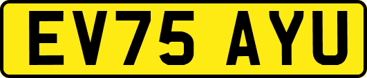 EV75AYU