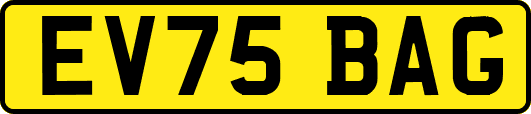 EV75BAG