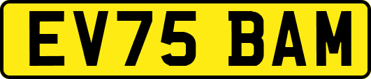 EV75BAM
