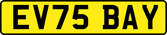 EV75BAY